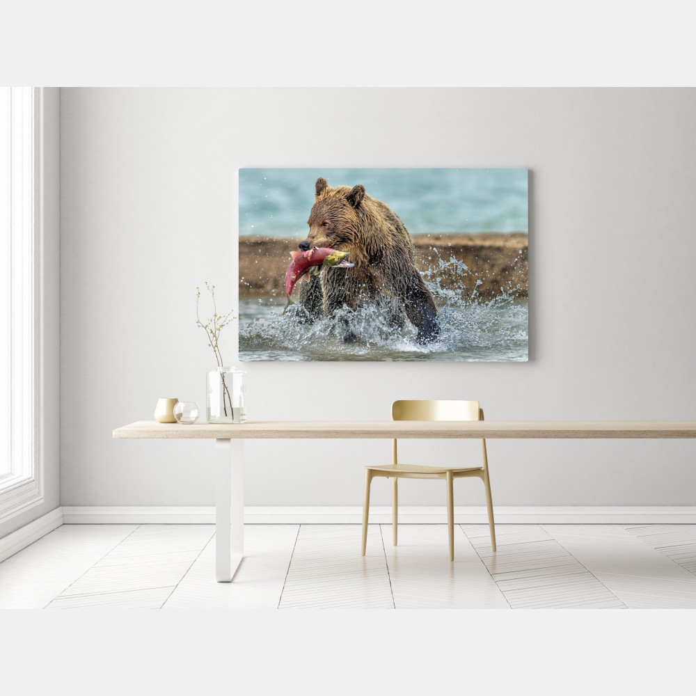 Leinwandbild braunbär fängt lachs im fluss – Wallnifity® Leinwandbild braunbär fängt lachs im fluss – Wallnifity®