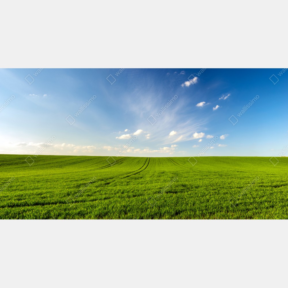 Leinwandbild frühlingsgrüne wiesenpanorama – Wallnifity® Leinwandbild frühlingsgrüne wiesenpanorama – Wallnifity®