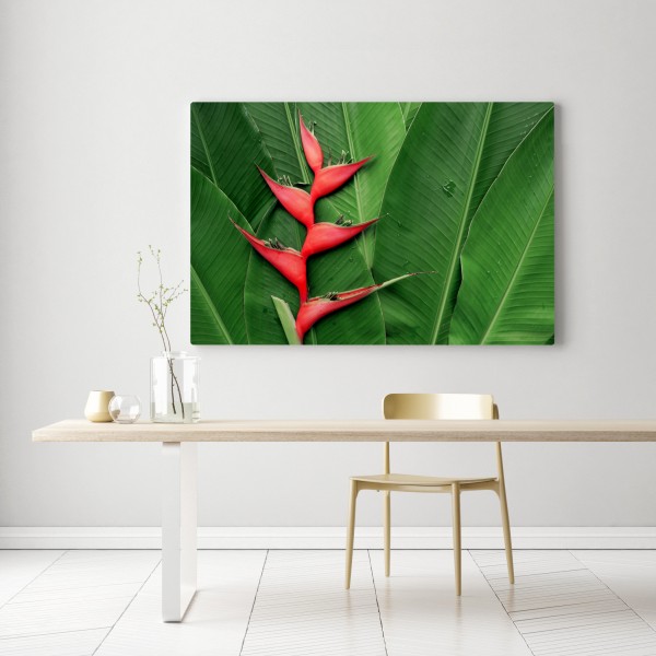 Leinwandbild leuchtende heliconia auf tropischen blättern – Wallnifity® Leinwandbild leuchtende heliconia auf tropischen blättern – Wallnifity®