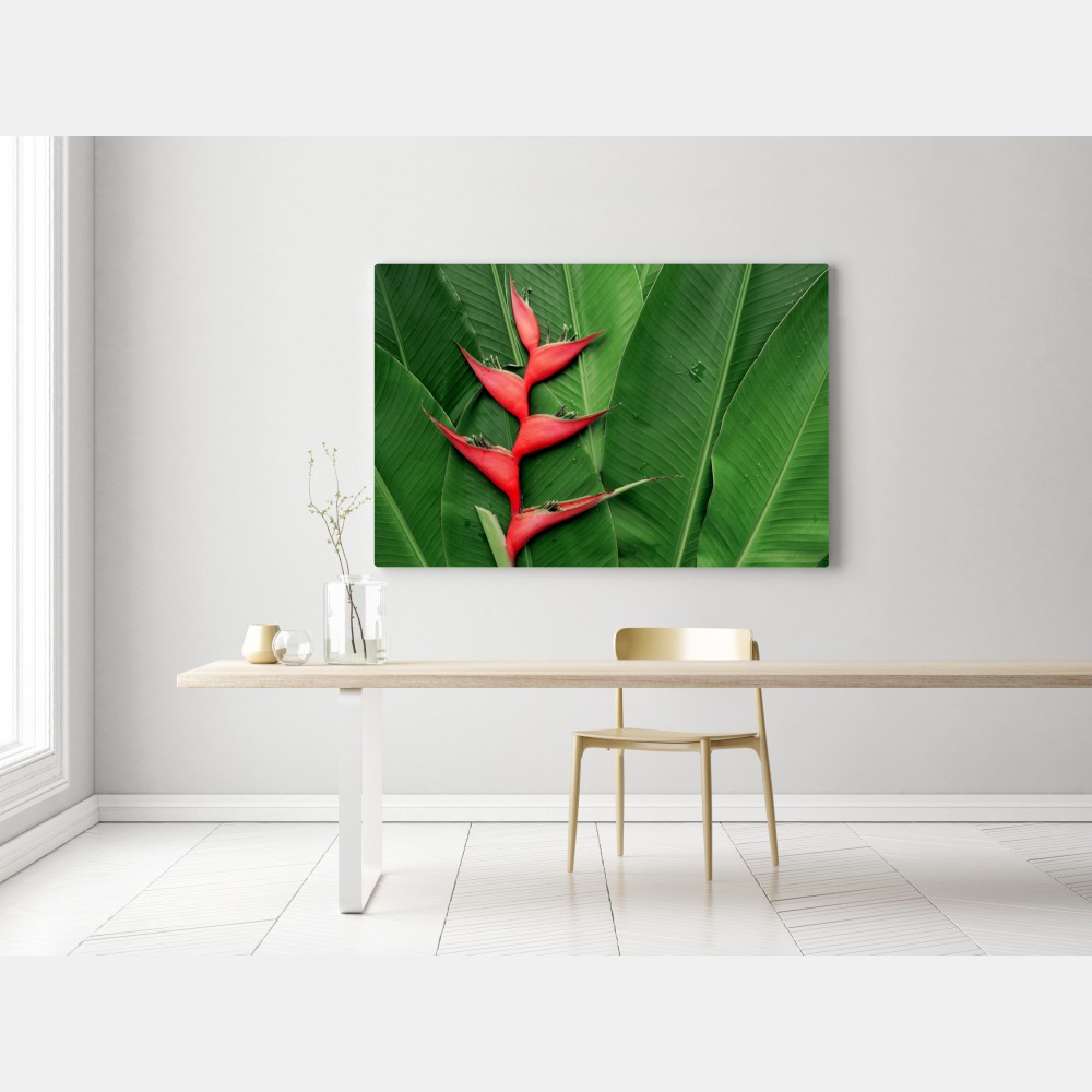 Leinwandbild leuchtende heliconia auf tropischen blättern – Wallnifity® Leinwandbild leuchtende heliconia auf tropischen blättern – Wallnifity®