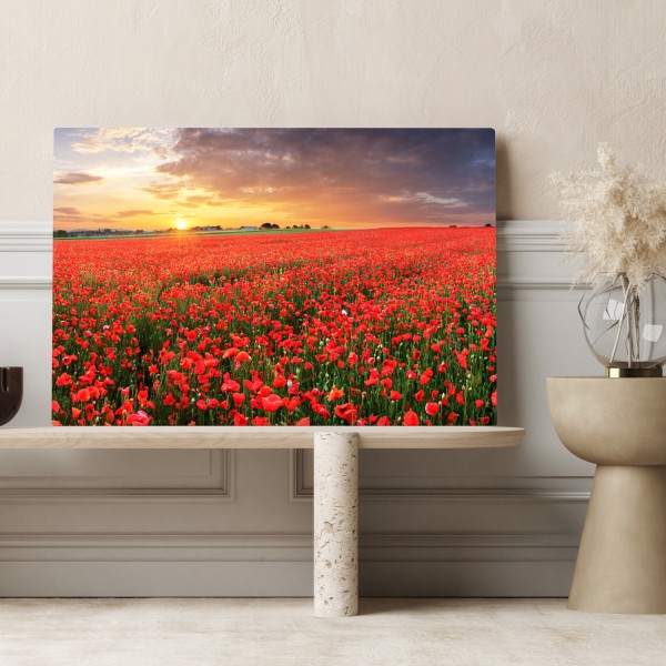 Leinwandbild mohnfeld im sonnenuntergang – Wallnifity® Leinwandbild mohnfeld im sonnenuntergang – Wallnifity®