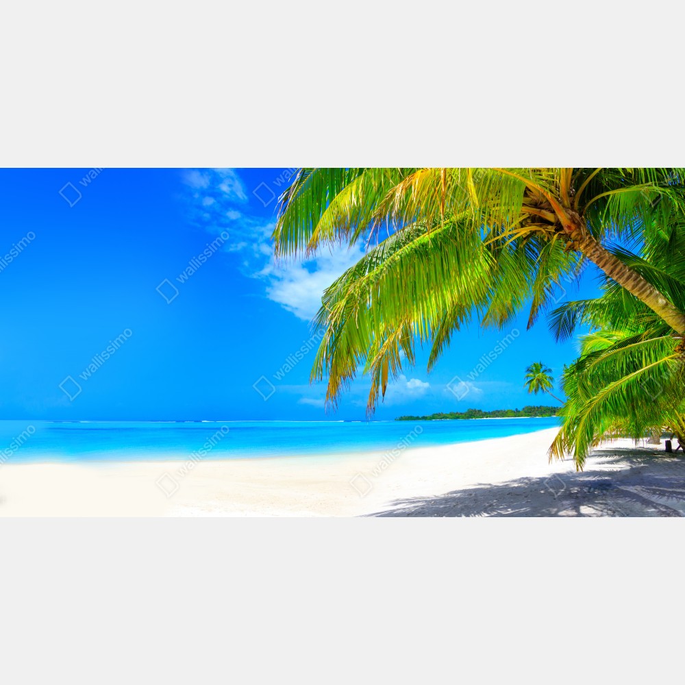 Leinwandbild tropischer türkisstrand – Wallnifity® Leinwandbild tropischer türkisstrand – Wallnifity®