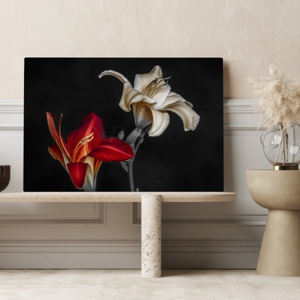 Leinwandbild dramatische rote und cremefarbene lilien auf schwarzem hintergrund – Wallnifity® Leinwandbild dramatische rote und cremefarbene lilien auf schwarzem hintergrund – Wallnifity®