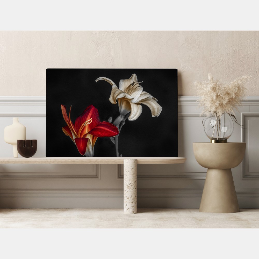 Leinwandbild dramatische rote und cremefarbene lilien auf schwarzem hintergrund – Wallnifity® Leinwandbild dramatische rote und cremefarbene lilien auf schwarzem hintergrund – Wallnifity®