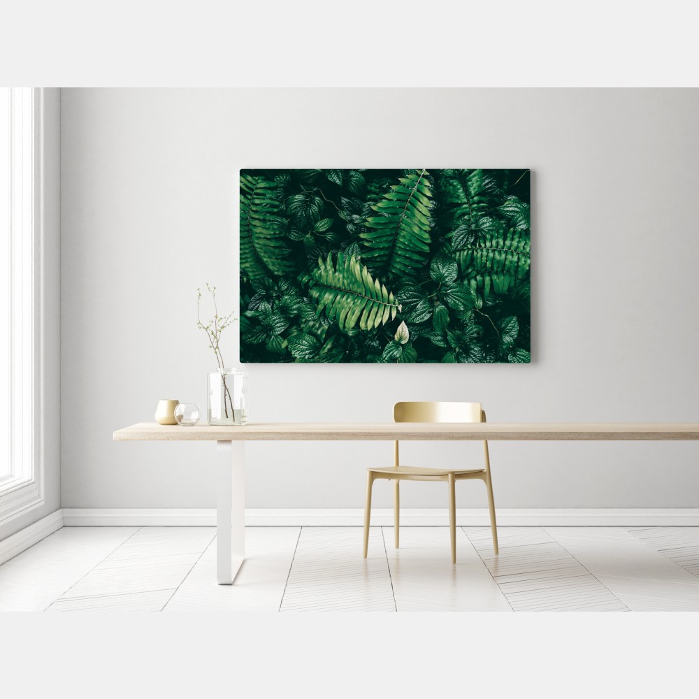 Leinwandbild üppige tropische blätter – Wallnifity® Leinwandbild üppige tropische blätter – Wallnifity®