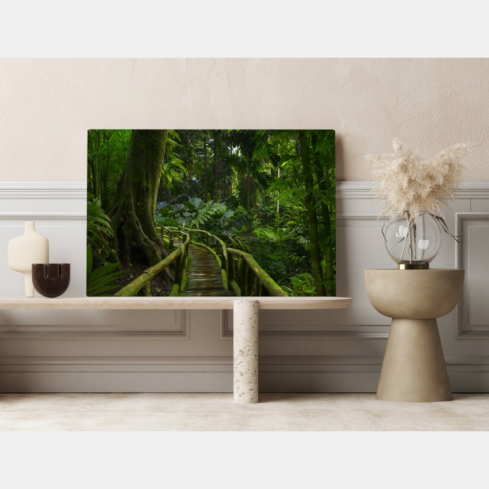 Leinwandbild ruhiger dschungelsteg durch üppigen regenwald – Wallnifity® Leinwandbild ruhiger dschungelsteg durch üppigen regenwald – Wallnifity®