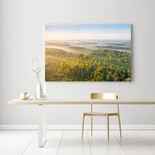 Leinwandbild nebliger morgen im sumpf von Zvanets – Wallnifity® Leinwandbild nebliger morgen im sumpf von Zvanets – Wallnifity®