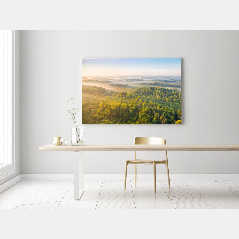 Leinwandbild nebliger morgen im sumpf von Zvanets – Wallnifity® Leinwandbild nebliger morgen im sumpf von Zvanets – Wallnifity®