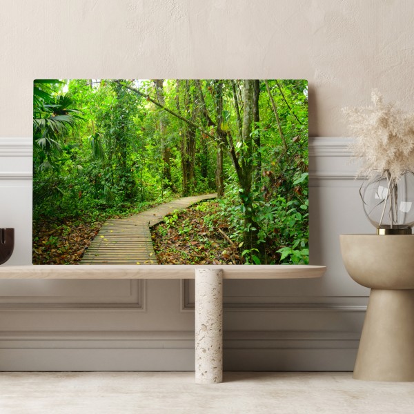 Leinwandbild tropischer steg im üppigen wald – Wallnifity®