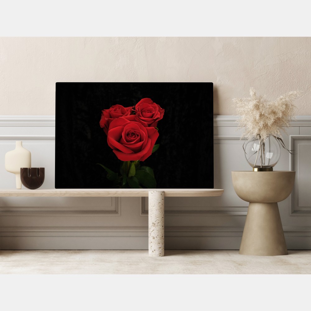 Leinwandbild rote rosen vor schwarzem hintergrund – Wallnifity® Leinwandbild rote rosen vor schwarzem hintergrund – Wallnifity®
