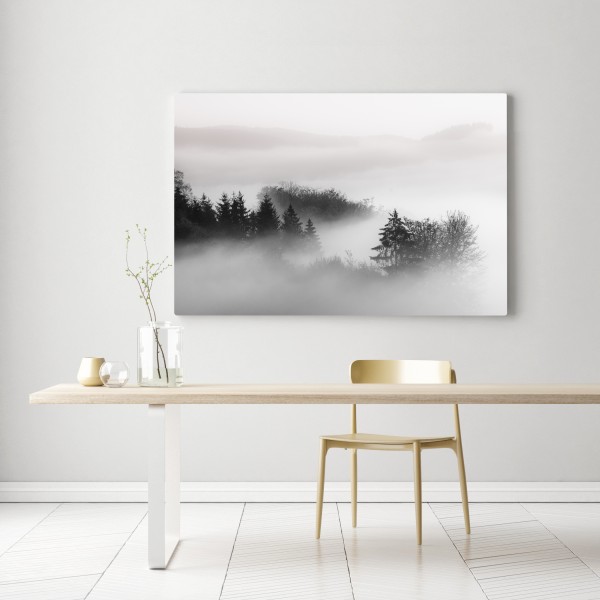Leinwandbild nebliger wald in grautönen – Wallnifity® Leinwandbild nebliger wald in grautönen – Wallnifity®