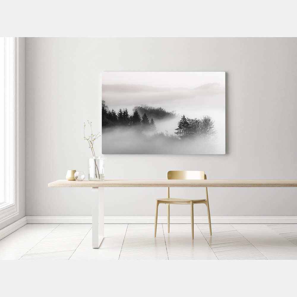 Leinwandbild nebliger wald in grautönen – Wallnifity® Leinwandbild nebliger wald in grautönen – Wallnifity®