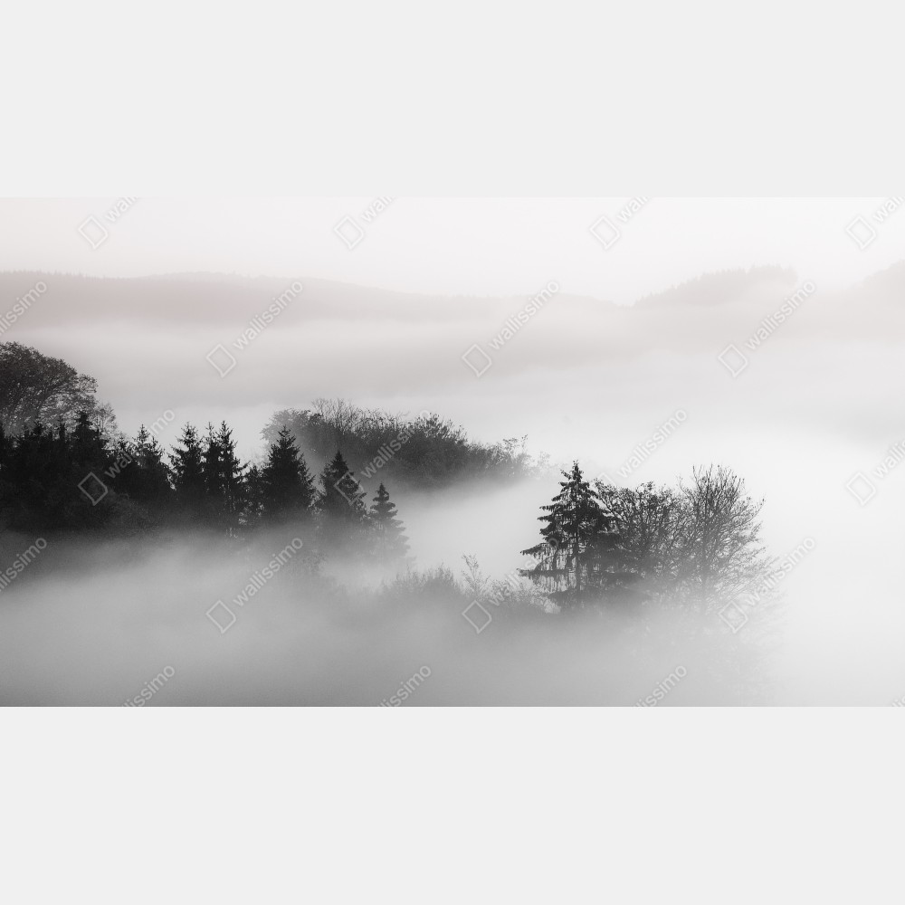 Leinwandbild nebliger wald in grautönen – Wallnifity® Leinwandbild nebliger wald in grautönen – Wallnifity®