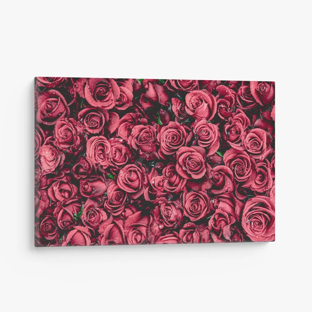 Leinwandbild pralle rote rosen wandbild – Wallnifity® Leinwandbild pralle rote rosen wandbild – Wallnifity®