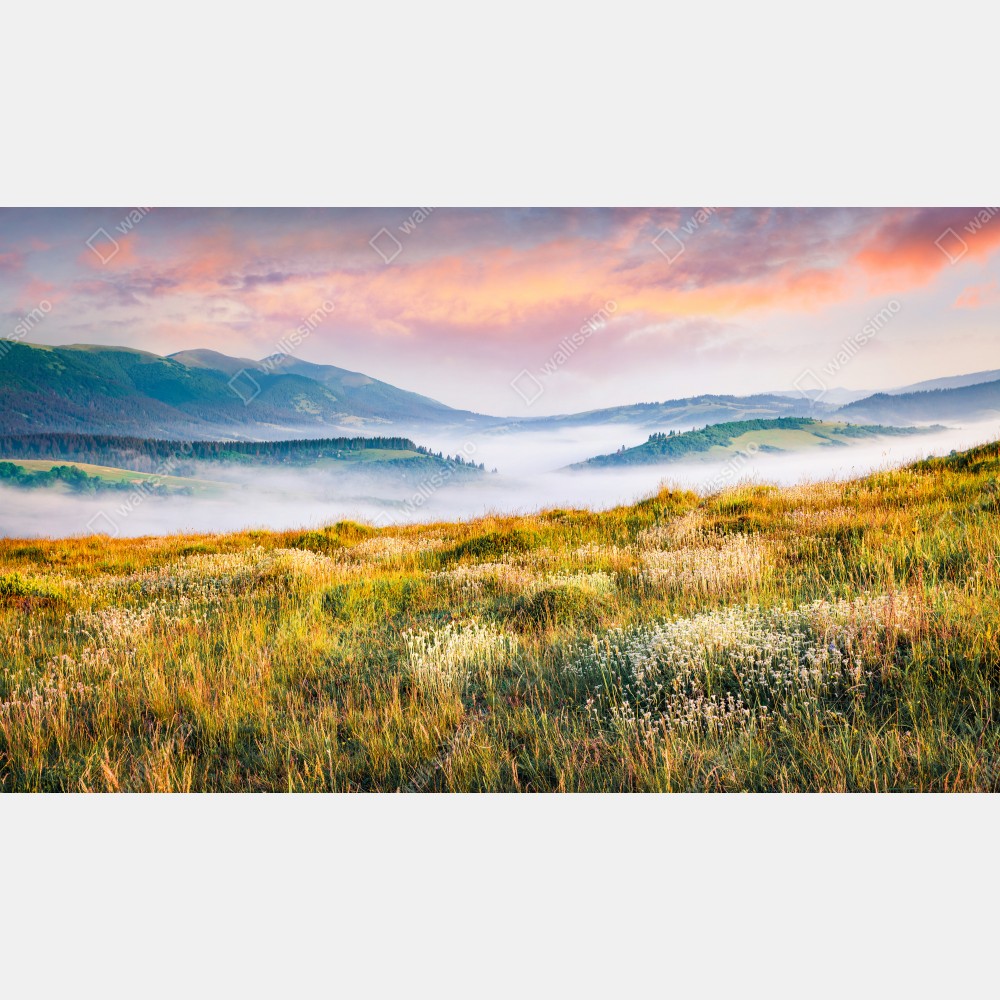 Leinwandbild nebliger morgen in den Karpaten – Wallnifity® Leinwandbild nebliger morgen in den Karpaten – Wallnifity®