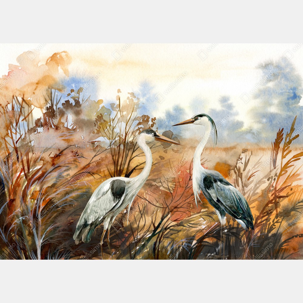 Leinwandbild zwei reiher im herbstlichen sumpf – Wallnifity® Leinwandbild zwei reiher im herbstlichen sumpf – Wallnifity®