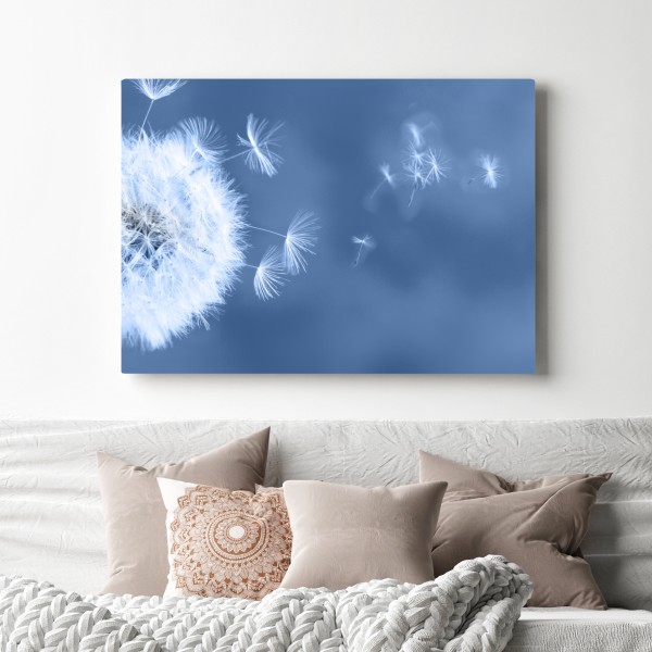 Leinwandbild zarte löwenzahnsamen in blau – Wallnifity® Leinwandbild zarte löwenzahnsamen in blau – Wallnifity®