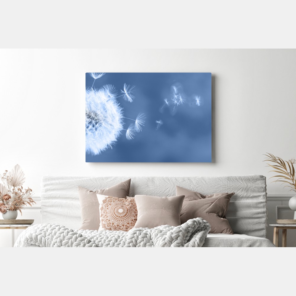 Leinwandbild zarte löwenzahnsamen in blau – Wallnifity® Leinwandbild zarte löwenzahnsamen in blau – Wallnifity®