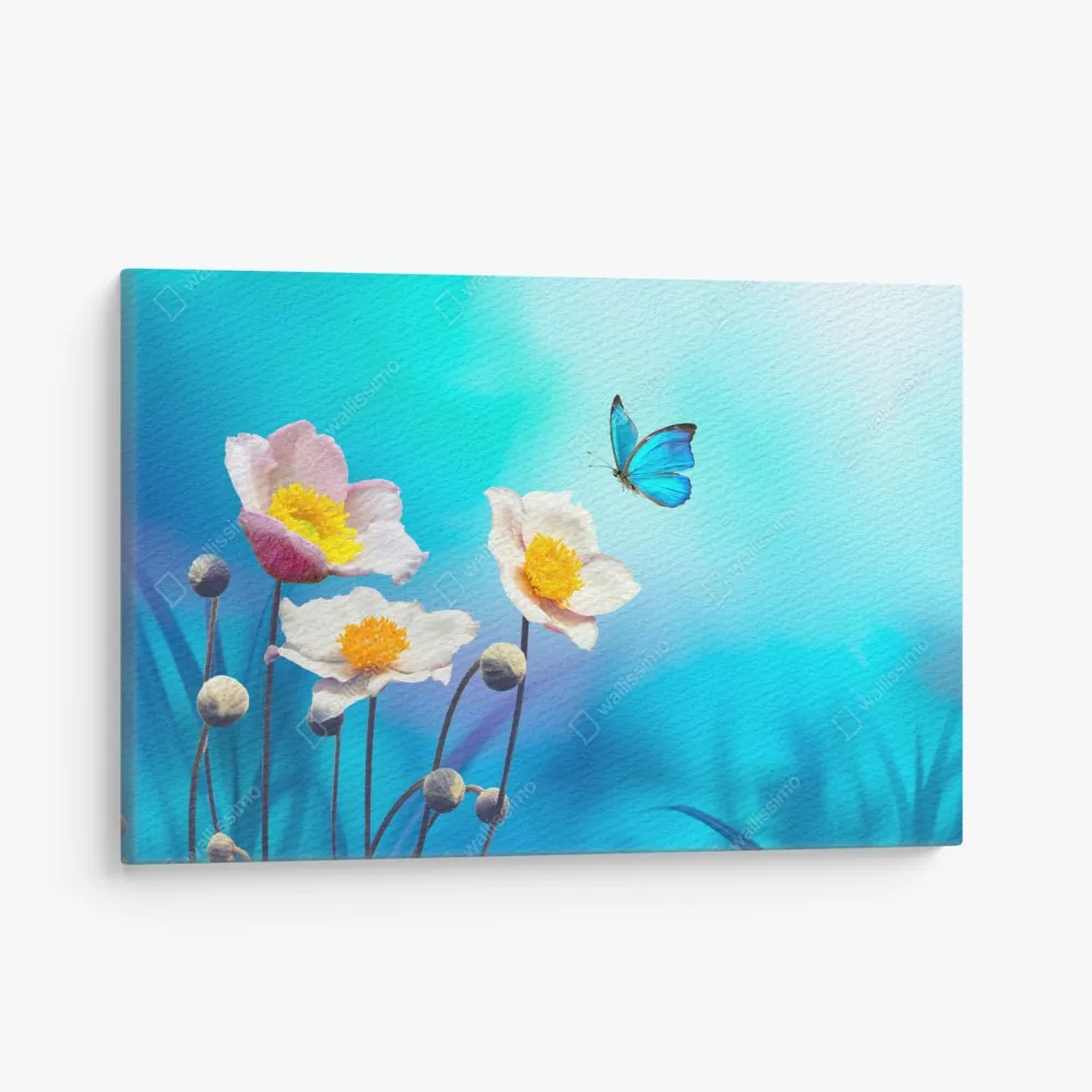 Leinwandbild zarte rosa anemonen und blauer schmetterling – Wallnifity® Leinwandbild zarte rosa anemonen und blauer schmetterling – Wallnifity®