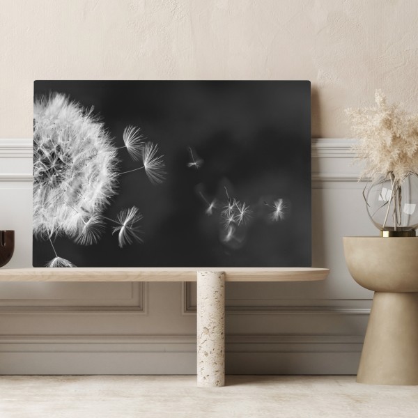 Leinwandbild schwebende löwenzahnsamen – Wallnifity® Leinwandbild schwebende löwenzahnsamen – Wallnifity®