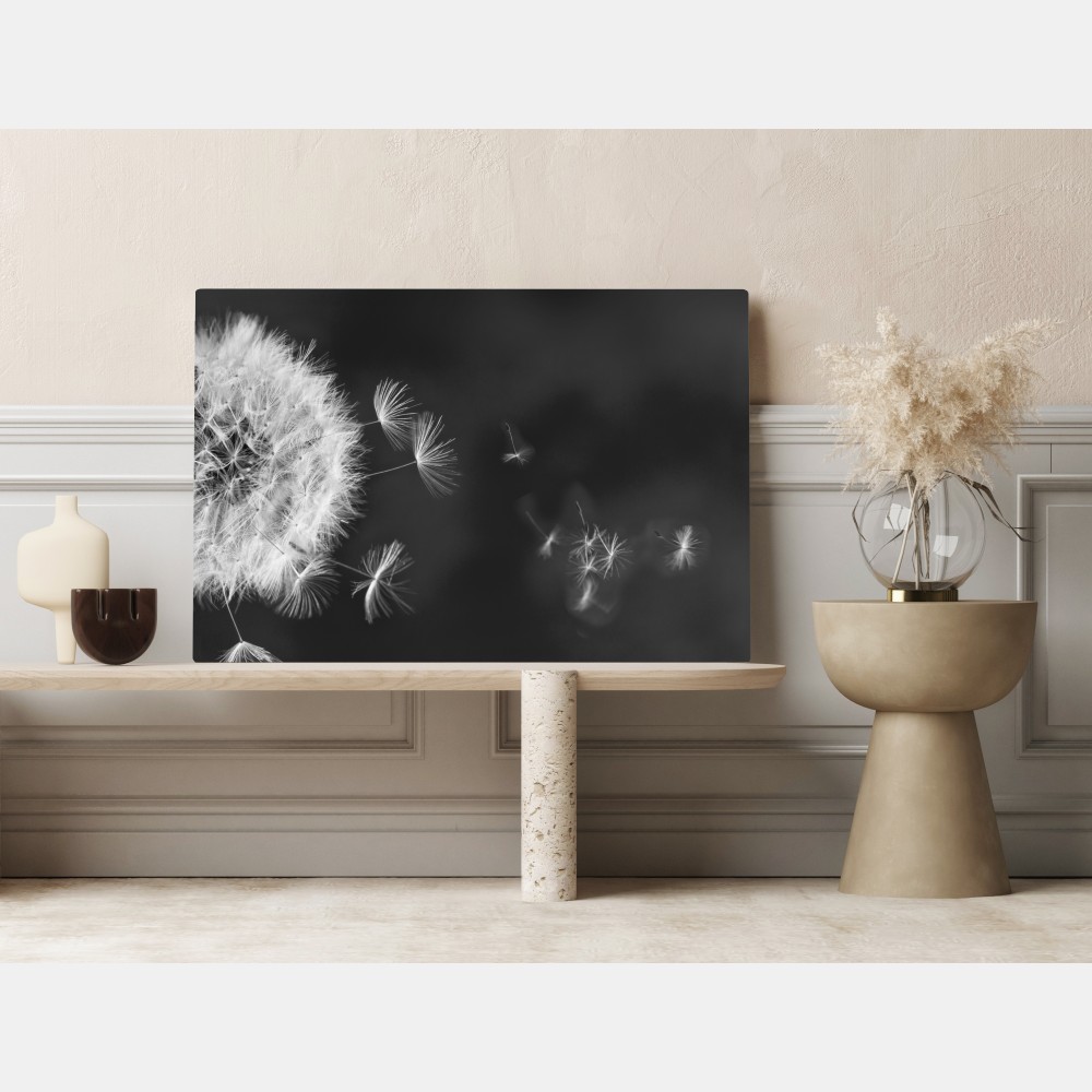 Leinwandbild schwebende löwenzahnsamen – Wallnifity® Leinwandbild schwebende löwenzahnsamen – Wallnifity®