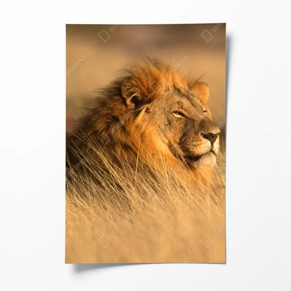 Poster steg bei sonnenuntergang über ruhigem see – Wallnifity®