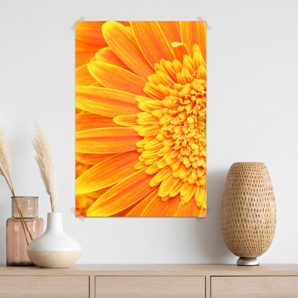 Poster leuchtende orange gerbera in makro – Wallnifity® Poster leuchtende orange gerbera in makro – Wallnifity®