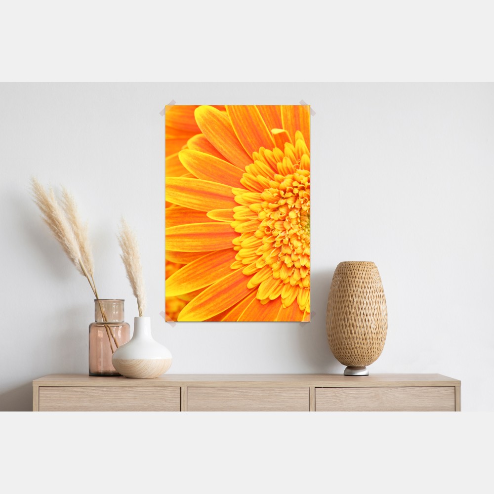 Poster leuchtende orange gerbera in makro – Wallnifity® Poster leuchtende orange gerbera in makro – Wallnifity®