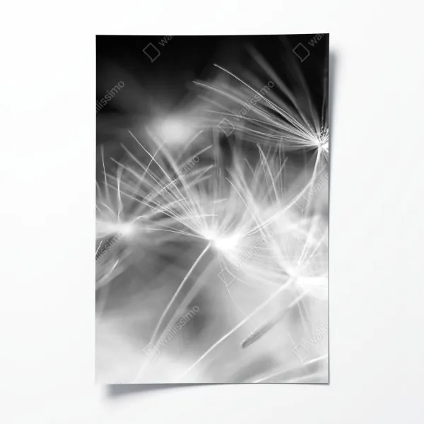 Poster sonnenuntergang über einer ruhigen wiese – Wallnifity®