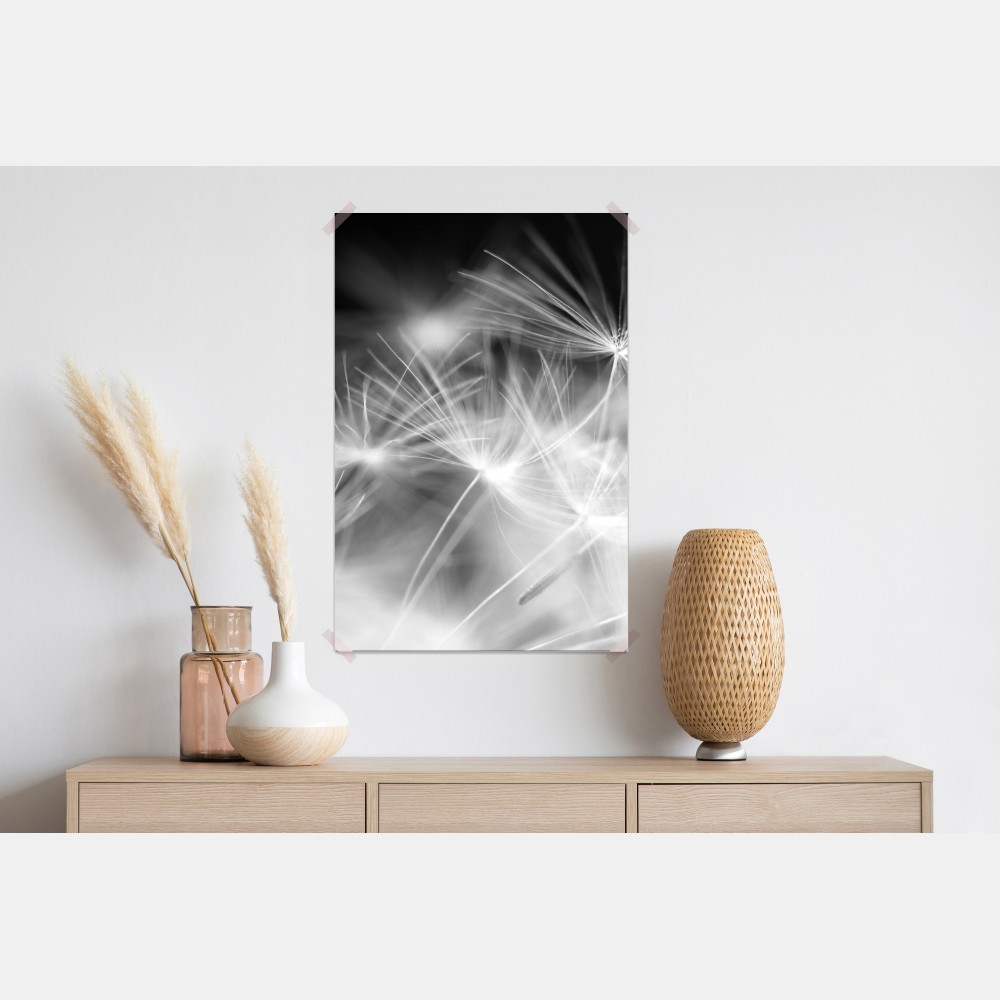 Poster zarte löwenzahnsamen in monochrom – Wallnifity® Poster zarte löwenzahnsamen in monochrom – Wallnifity®