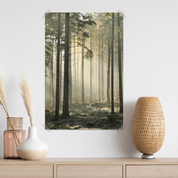 Poster nebliger morgenwald mit sonnenstrahlen – Wallnifity® Poster nebliger morgenwald mit sonnenstrahlen – Wallnifity®