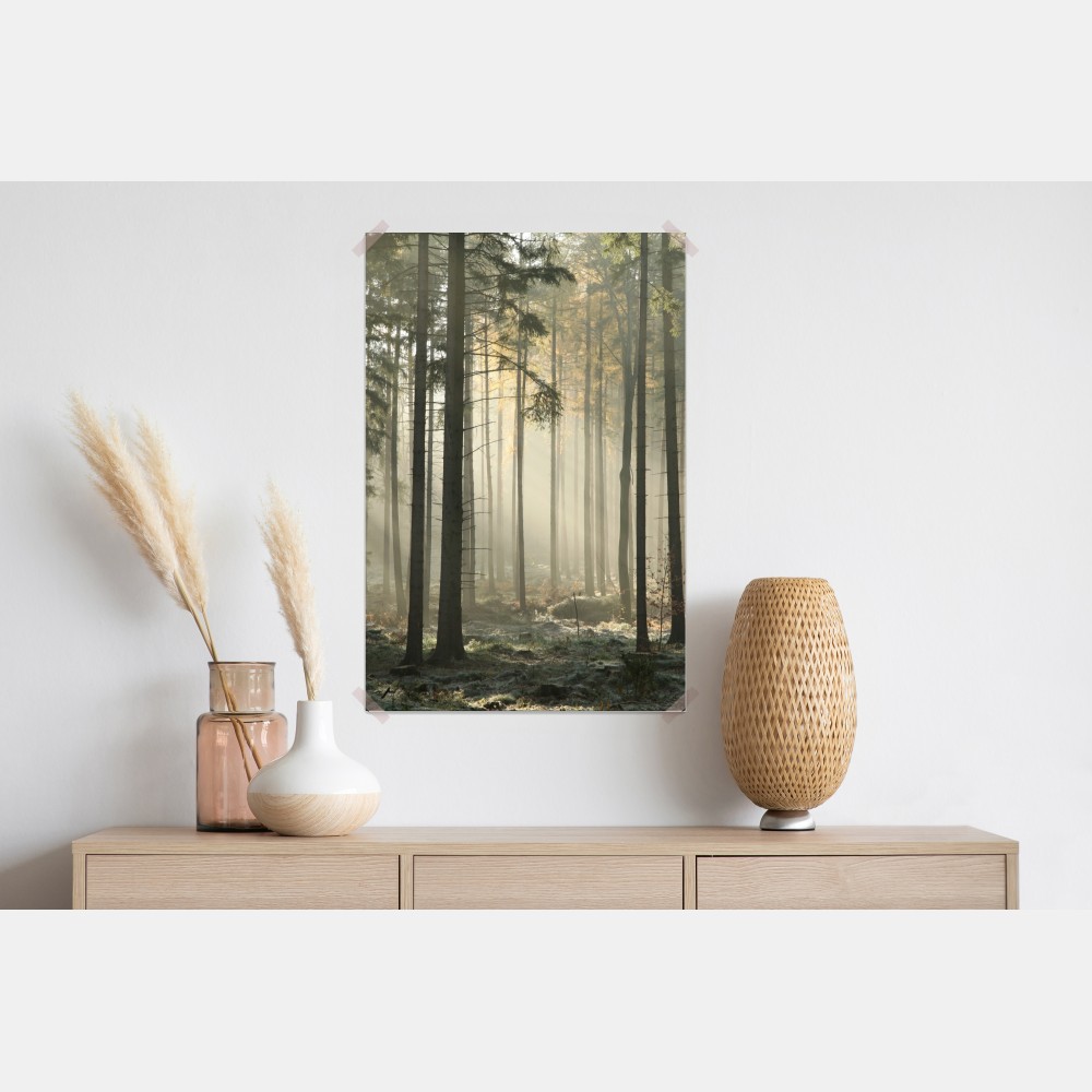 Poster nebliger morgenwald mit sonnenstrahlen – Wallnifity® Poster nebliger morgenwald mit sonnenstrahlen – Wallnifity®