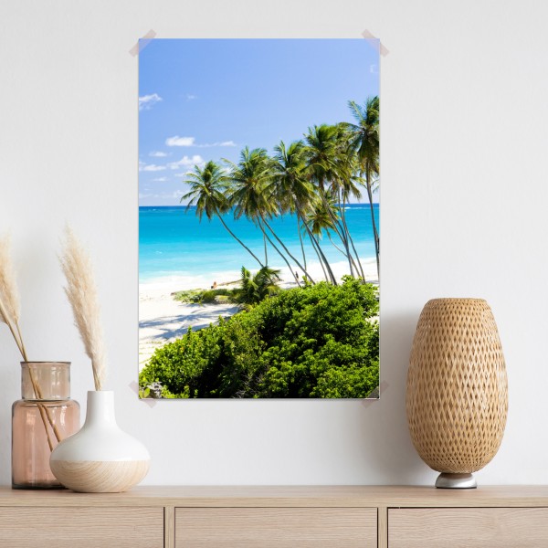 Poster Bottom Bay palmenstrand, Barbados – Wallnifity®