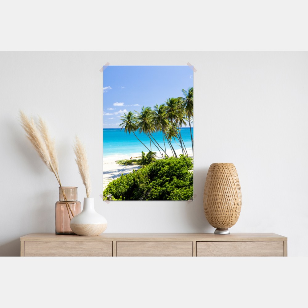 Poster Bottom Bay palmenstrand, Barbados – Wallnifity®