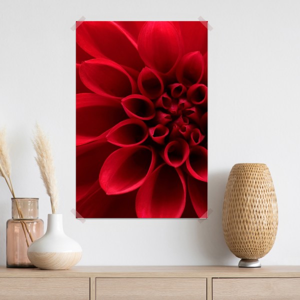 Poster nahaufnahme einer roten dahlie – Wallnifity® Poster nahaufnahme einer roten dahlie – Wallnifity®