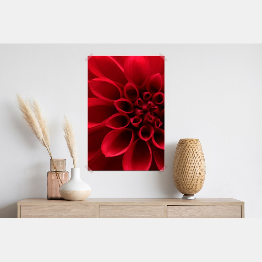 Poster nahaufnahme einer roten dahlie – Wallnifity® Poster nahaufnahme einer roten dahlie – Wallnifity®