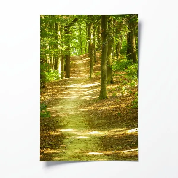 Poster Budapest skyline mit dem ungarischen Parlament am Donauufer – Wallnifity®