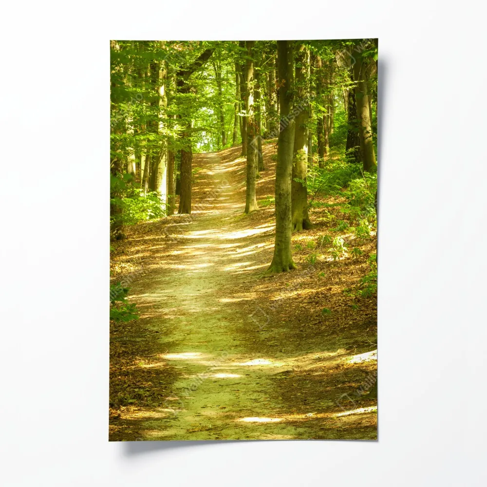 Poster sonniger waldpfad – Wallnifity® Poster sonniger waldpfad – Wallnifity®