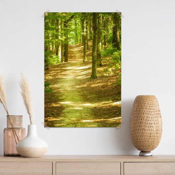 Poster sonniger waldpfad – Wallnifity® Poster sonniger waldpfad – Wallnifity®