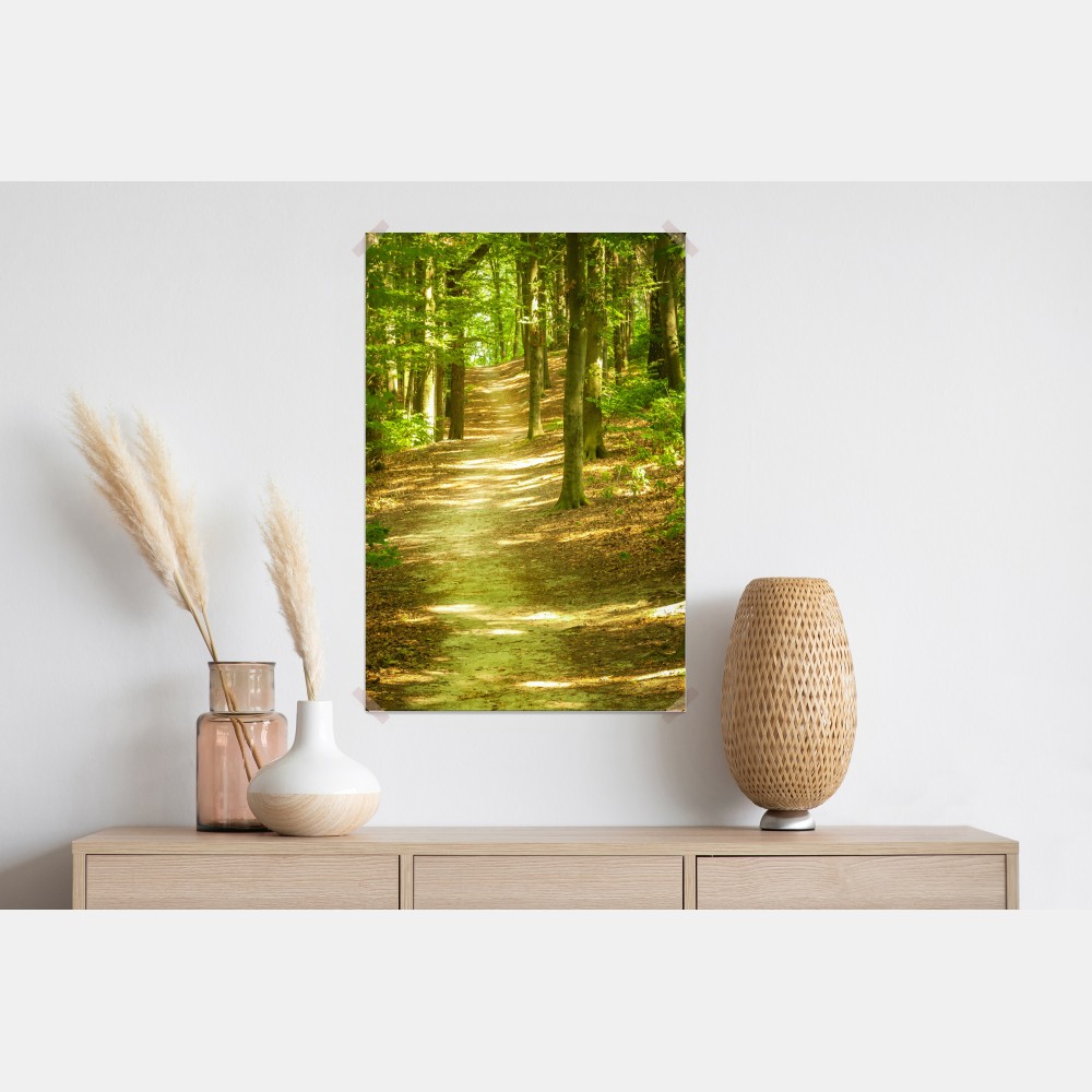 Poster sonniger waldpfad – Wallnifity® Poster sonniger waldpfad – Wallnifity®
