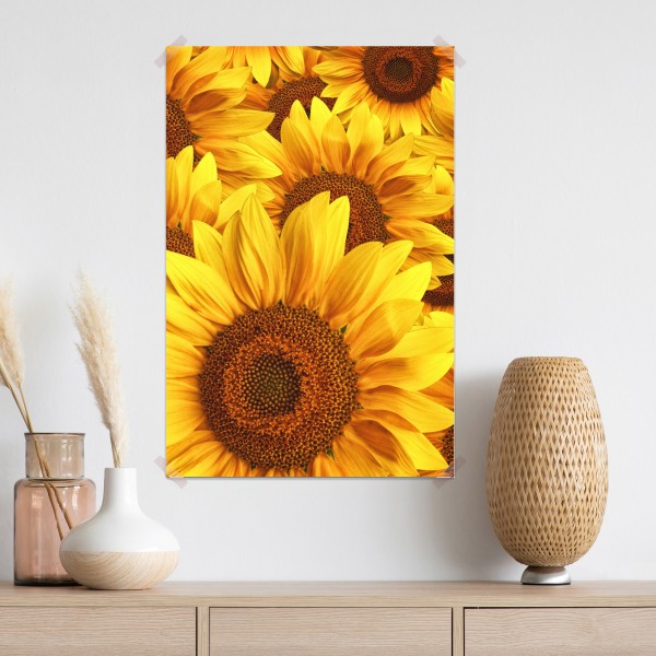 Poster goldene sonnenblumen – Wallnifity®
