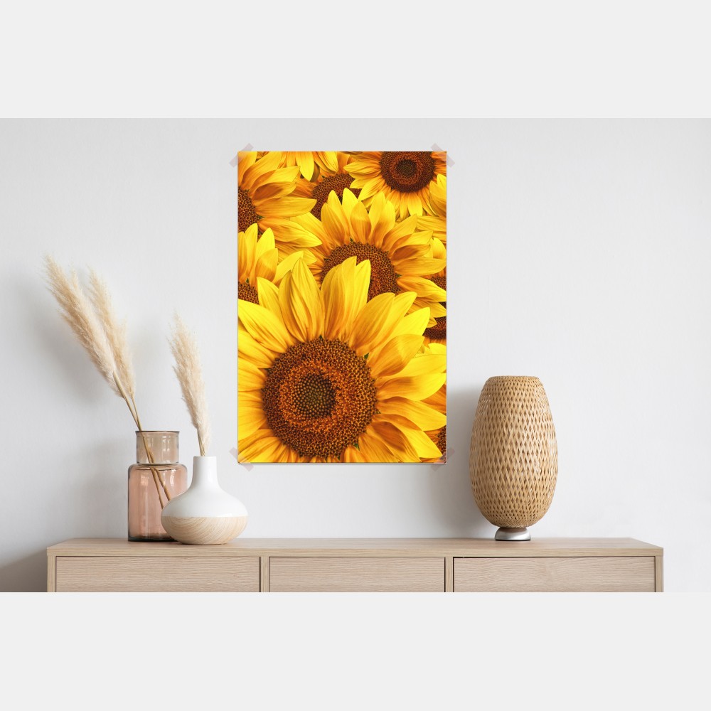 Poster goldene sonnenblumen – Wallnifity®