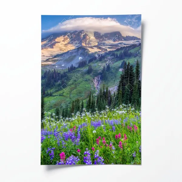 Poster leuchtende gelbe sonnenblumen in nahaufnahme – Wallnifity®