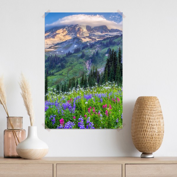 Poster alpine blumenwiese vor schneebedeckten bergen – Wallnifity®