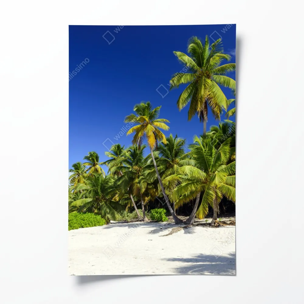 Poster ruhiger tropischer strand in Punta Cana – Wallnifity® Poster ruhiger tropischer strand in Punta Cana – Wallnifity®