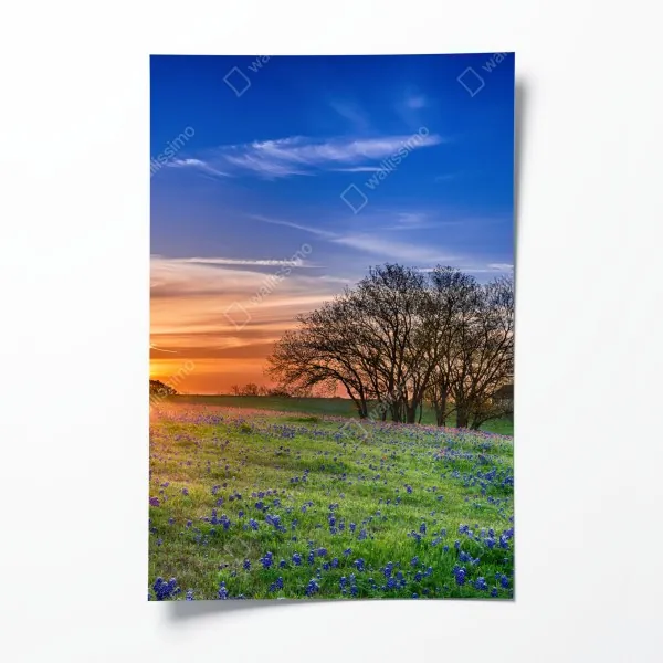 Poster nahaufnahme sonnenblumen- und dahlienstrauß – Wallnifity®