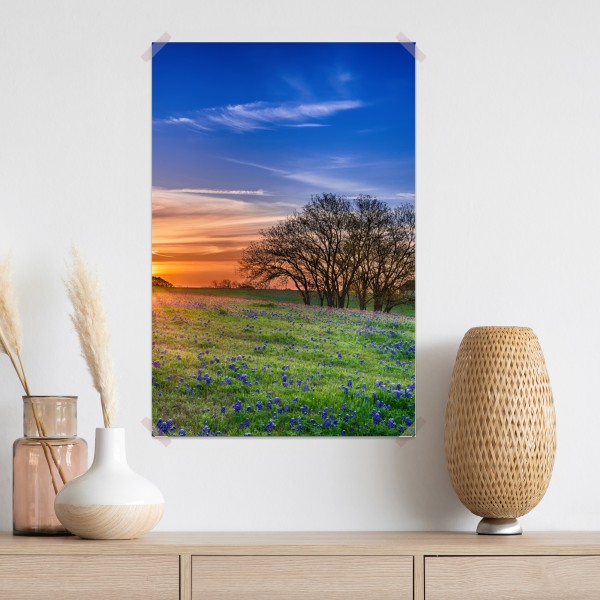 Poster Texas wiese mit bluebonnets im sonnenaufgang – Wallnifity® Poster Texas wiese mit bluebonnets im sonnenaufgang – Wallnifity®