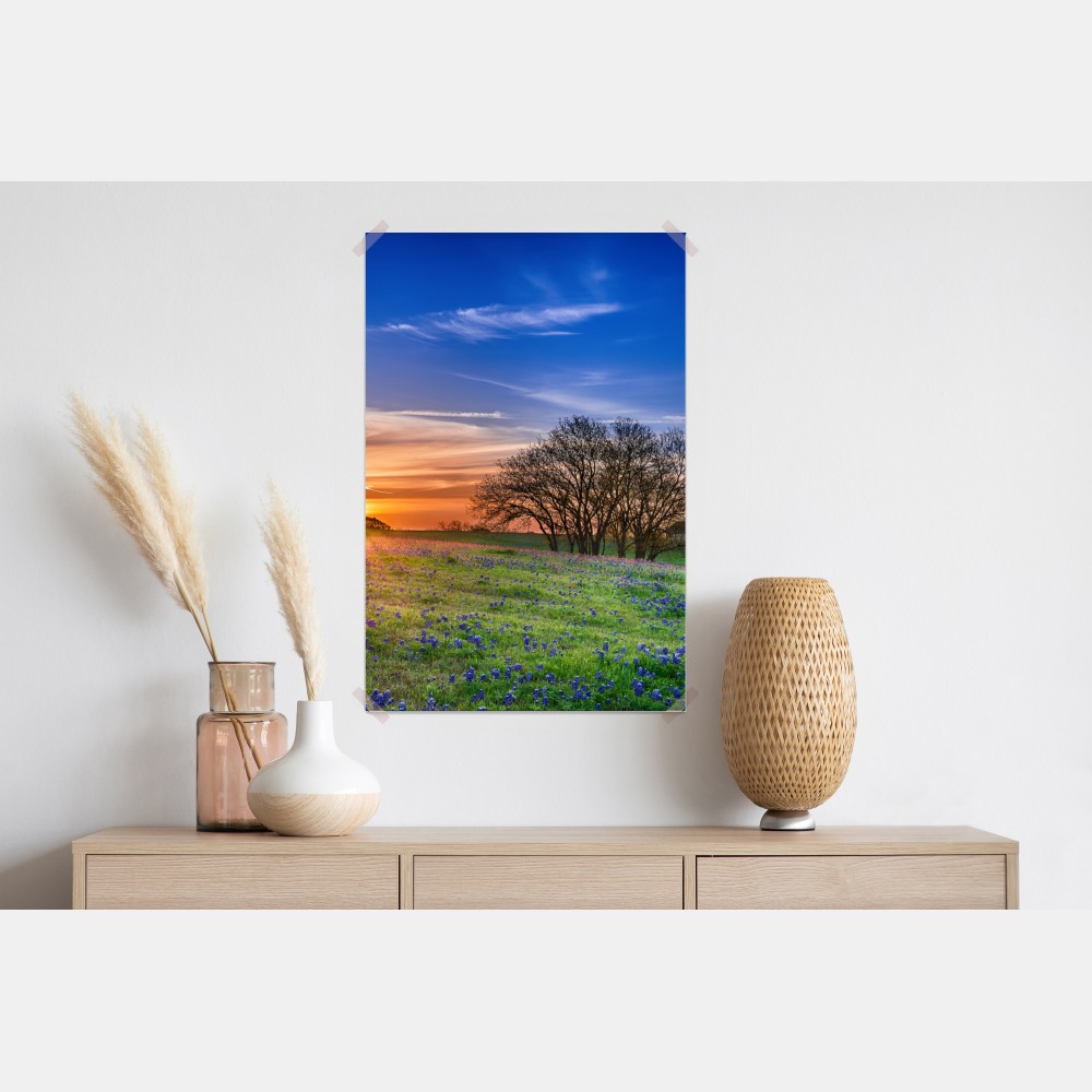 Poster Texas wiese mit bluebonnets im sonnenaufgang – Wallnifity® Poster Texas wiese mit bluebonnets im sonnenaufgang – Wallnifity®
