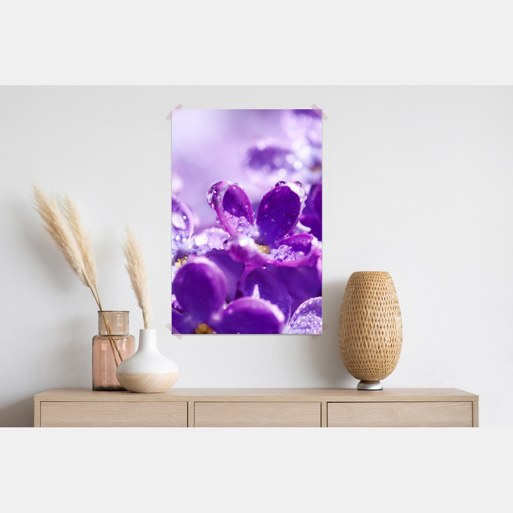 Poster lila fliederblüte mit tau – Wallnifity® Poster lila fliederblüte mit tau – Wallnifity®