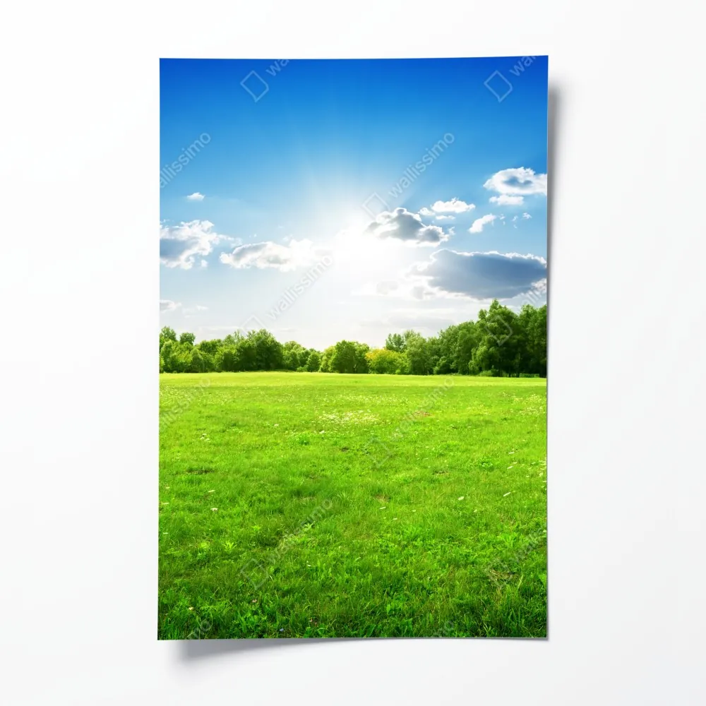 Poster sonnige grüne wiese – Wallnifity® Poster sonnige grüne wiese – Wallnifity®